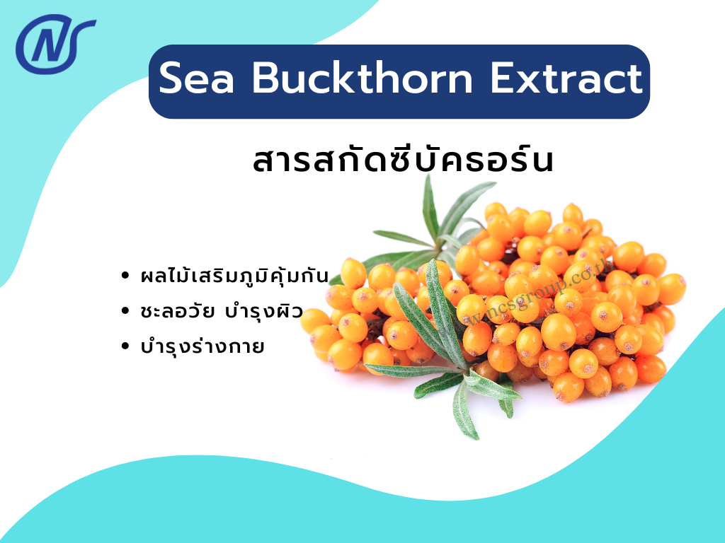 Sea Buckthorn Extract
